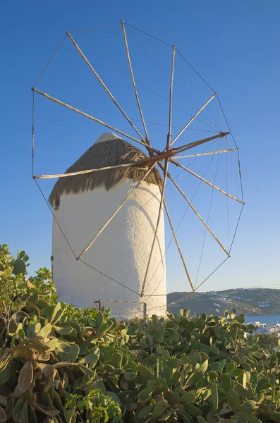 Windmill on hillside of cactus — Stock Photo, Image