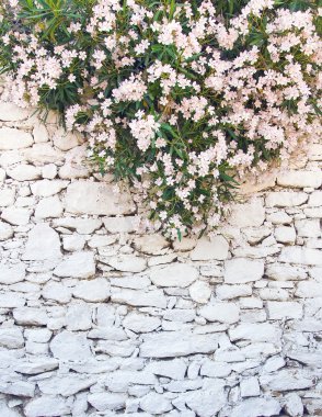 White-washed walls of stone with flowers clipart