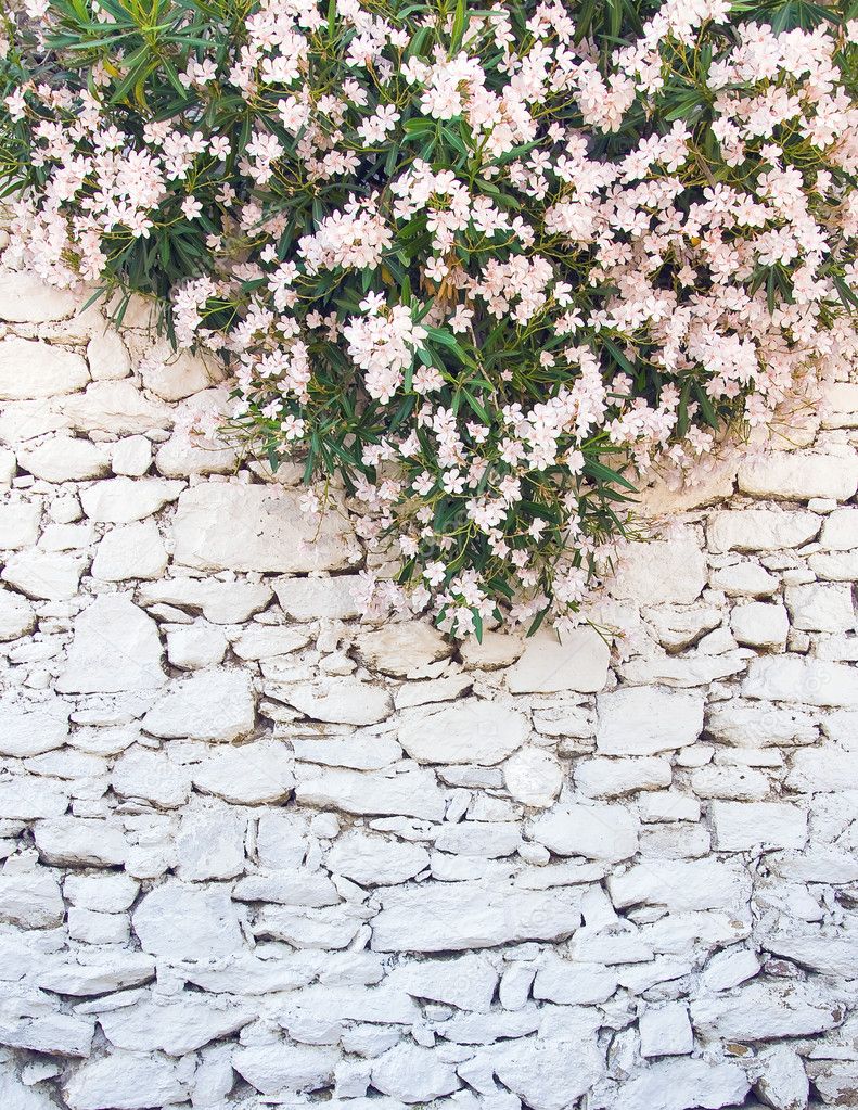 White-washed walls of stone with flowers