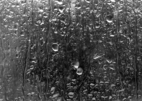 Rainy — Fotografie, imagine de stoc