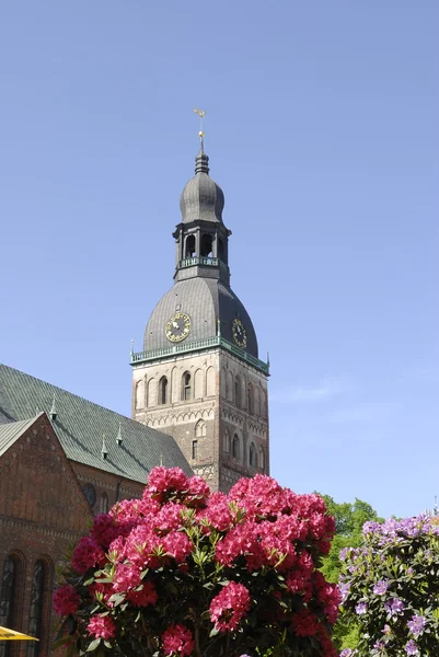 Riga Dome och kloster för Riga? s ordning av munkar, — Stockfoto