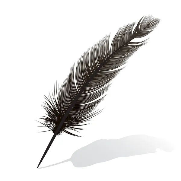 Feather Friendly - Bird Collision Deterrent Window Film