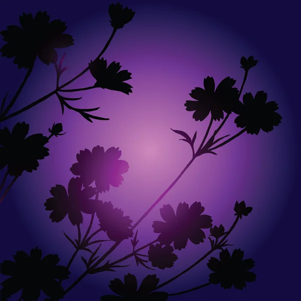 Flowers on dark background — Stock Photo, Image