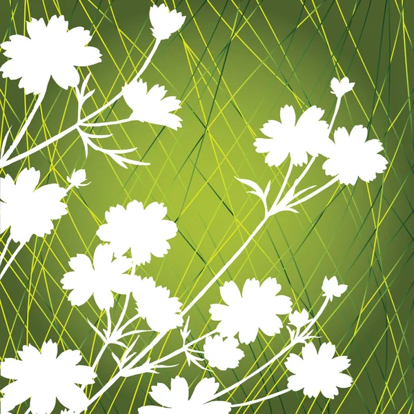 Белые цветы на зеленом фоне — стоковое фото