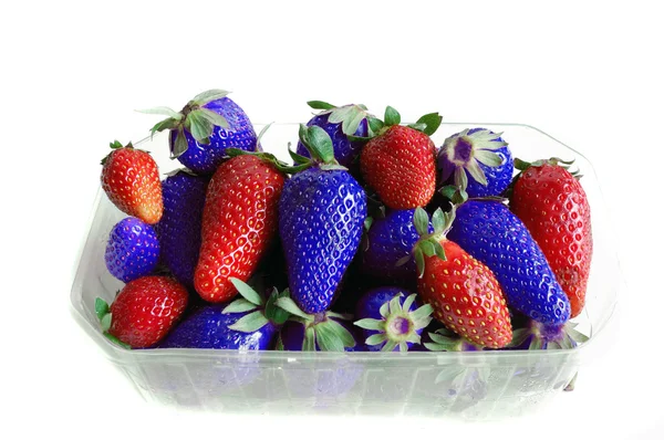 Červené a modré jahody — Stock fotografie