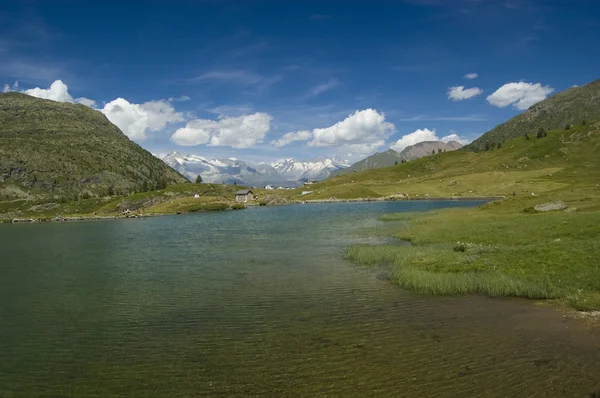 Summer alpine lake scenery — Stock Photo, Image