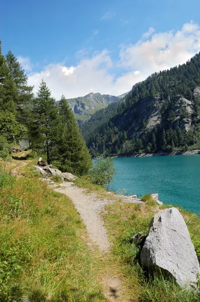 Стежка біля альпійського озера — стокове фото