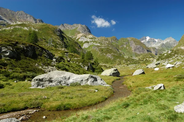 Летний альпийский пейзаж — стоковое фото