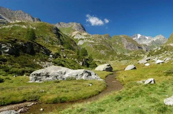 Estate paesaggio alpino — Foto Stock