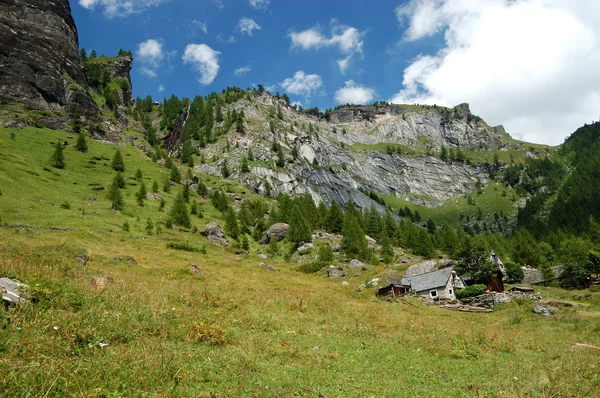 Alpine Dorflandschaft im Sommer — Stockfoto
