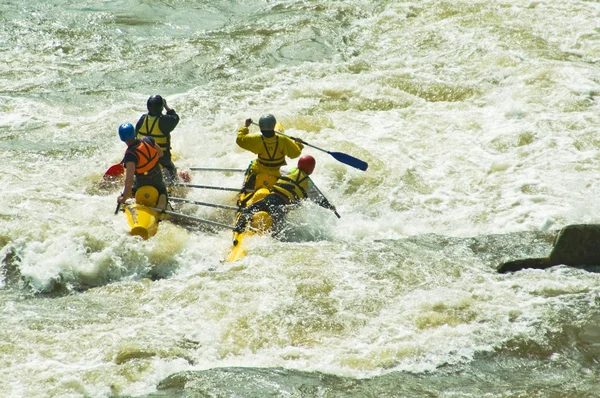 Kayak-paddling — Stock Photo, Image