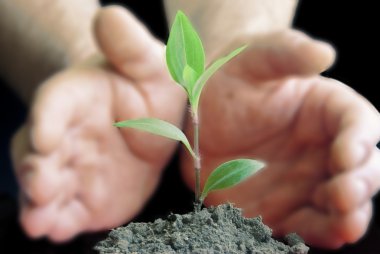 Green plant on background of blurring hands clipart