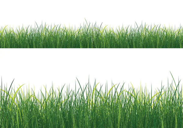 Isoliertes Gras — Stockvektor