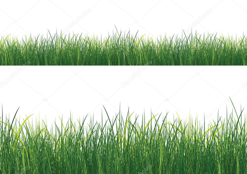 Isolated Grass