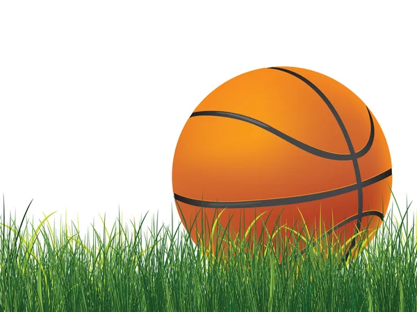 Bola de basquete —  Vetores de Stock