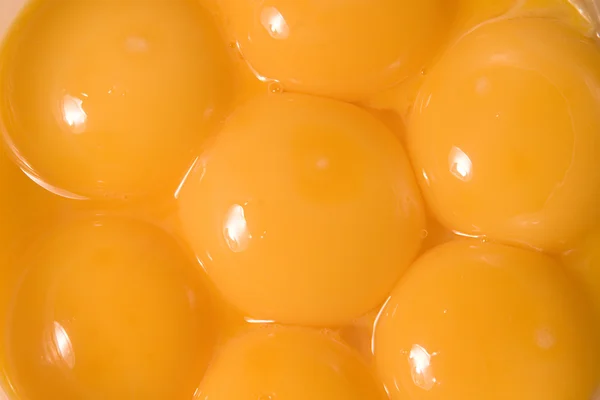 Яєчні жовтки — стокове фото