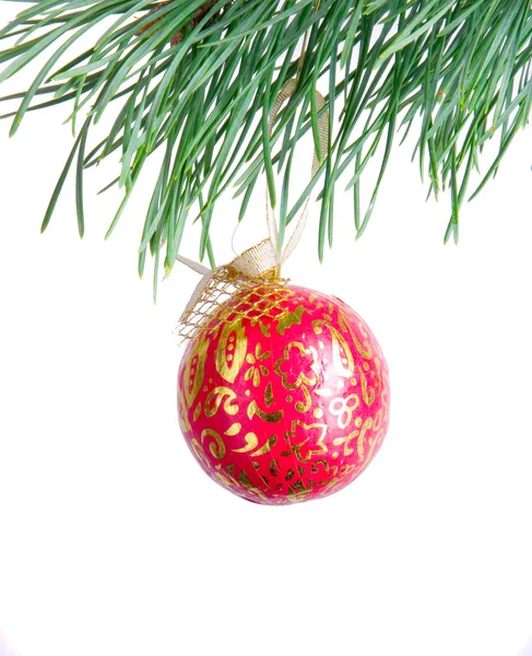 Patterned red ball on fir branch — Stock Photo, Image