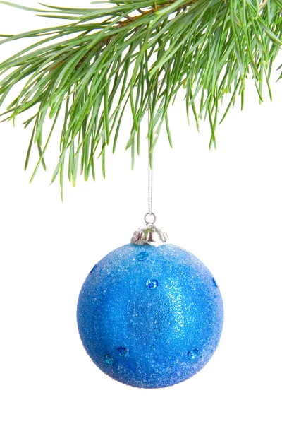 Blue ball on fir branch — Stock Photo, Image