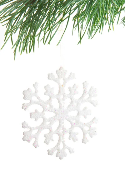 Snowflake on fir branch — Stock Photo, Image