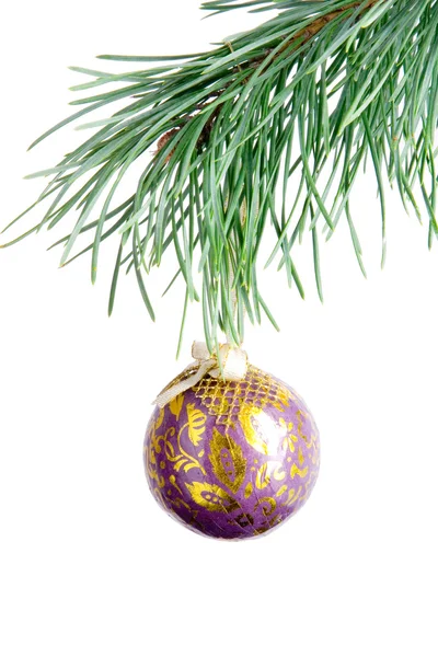 Patterned violet ball on fir branch — Stock Photo, Image