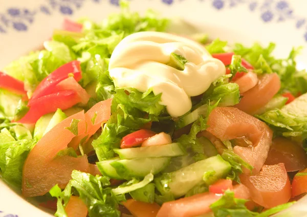 Салат з овочами — стокове фото