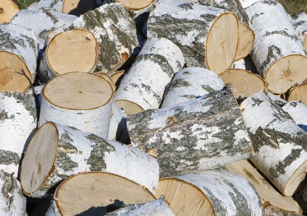 Hoop berk brandhout — Stockfoto