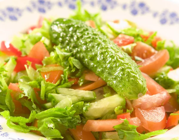 Saláta zöldségekkel — Stock Fotó