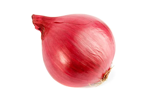 stock image Just onion