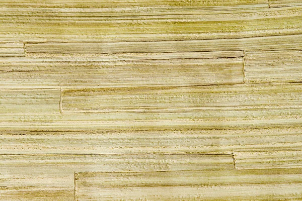 stock image Decorative bamboo wallpaper