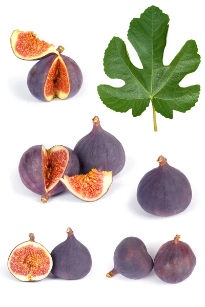 Fig fruits set — Stock Photo, Image