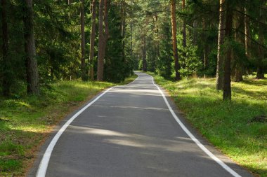 Road in forest clipart