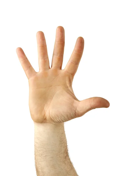 Radost rukou gesto — Stock fotografie