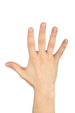 Five finger hand gesture clipart