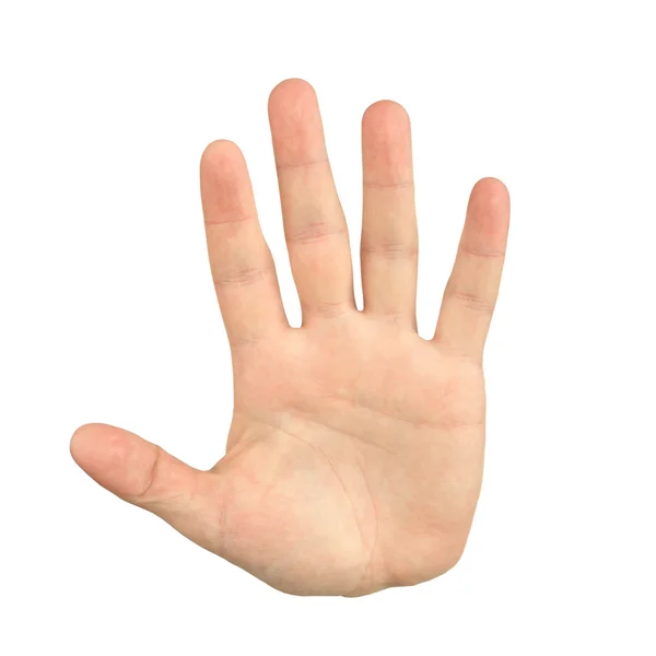 Mão de palma gesto — Fotografia de Stock