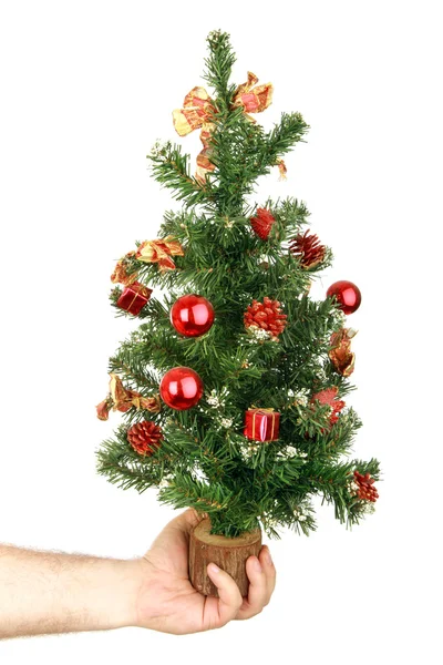 Christmas tree in hand — Stock Photo, Image