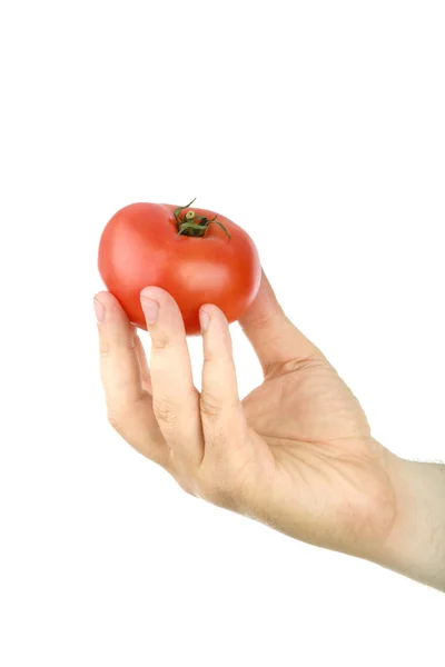 Ręka mężczyzny posiada czerwony pomidor — Zdjęcie stockowe