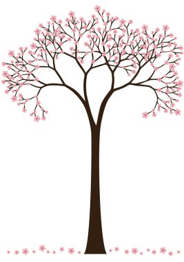 Cherry blossom tree clipart