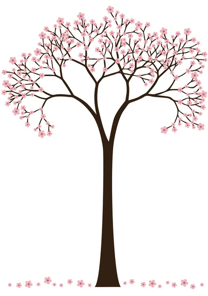 Árbol de flor de cerezo — Archivo Imágenes Vectoriales