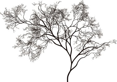 Beautiful tree clipart