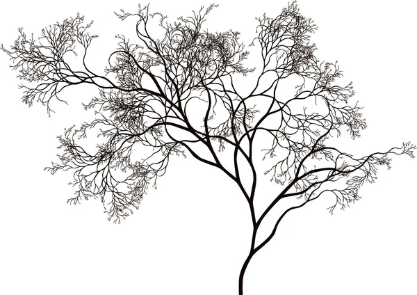 Vackert träd — Stock vektor