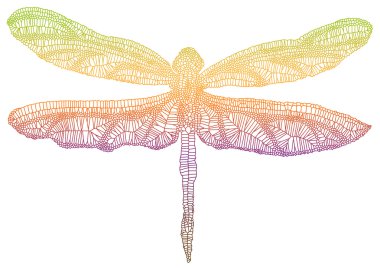 Colorful dragonfly clipart