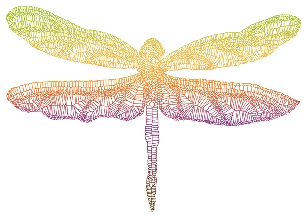 Colorful dragonfly — Stock vektor