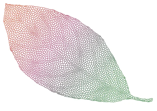 Feuille colorée — Image vectorielle