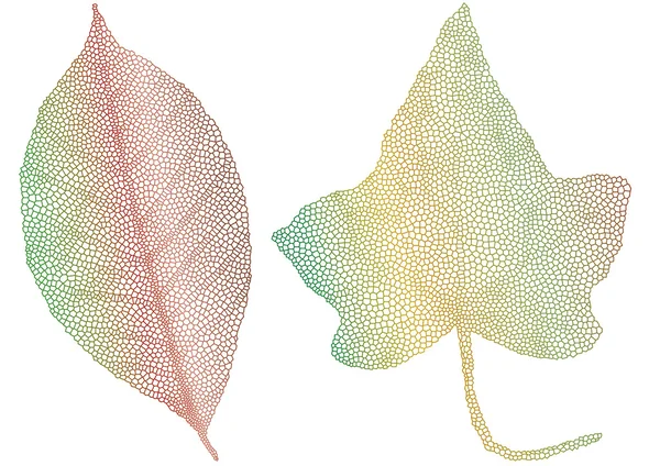 Podzimní listí s jemnou texturou — Stockový vektor