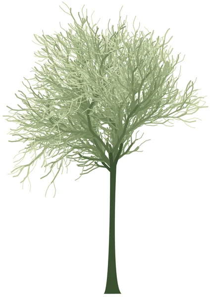 Цветущее зеленое дерево, вектор — стоковый вектор