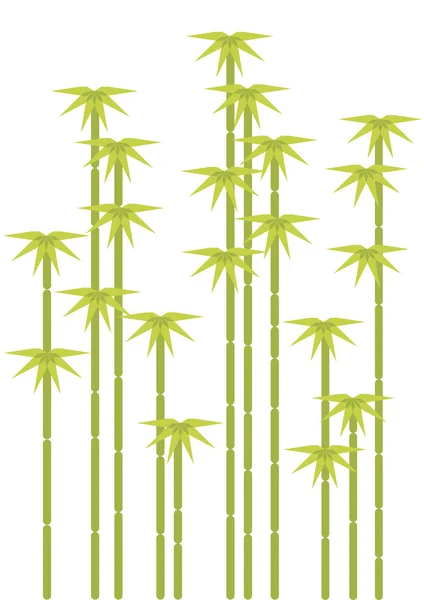 Bamboe bomen — Stockvector