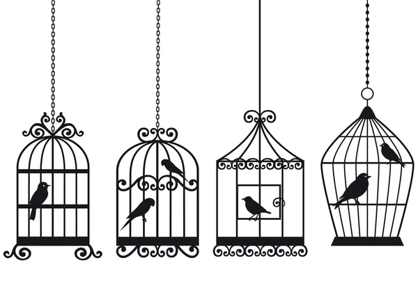 Vintage birdcages with birds — Stock Vector