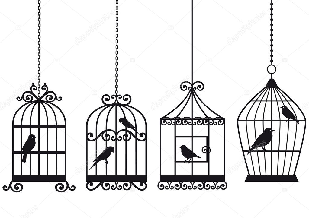 Vintage birdcages with birds