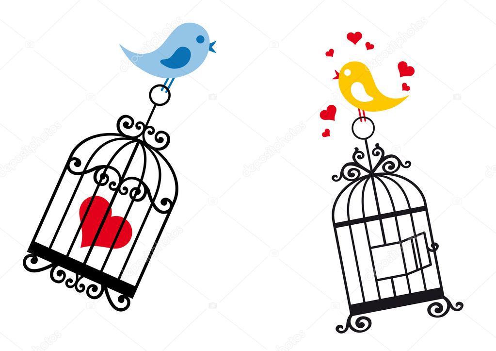 Birds in love with birdcage