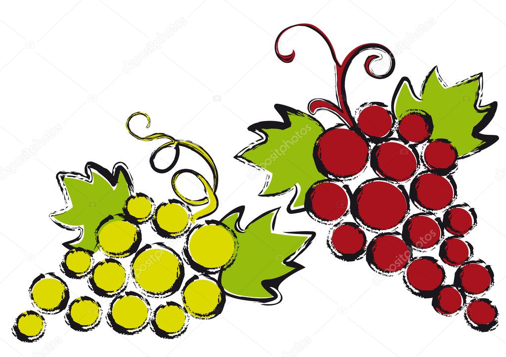 Red and green grapes with vine leaves, vector
